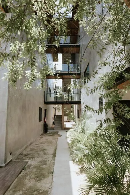 Cute Boho Penthouse 2 Bedroom Apt Tulum 0*,  Mexico